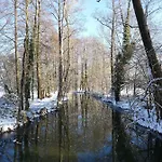 Gruener Wald Burg (Spreewald)