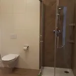 Gruener Wald Appartement *