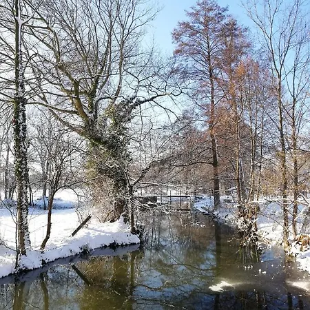 Grüner Wald *