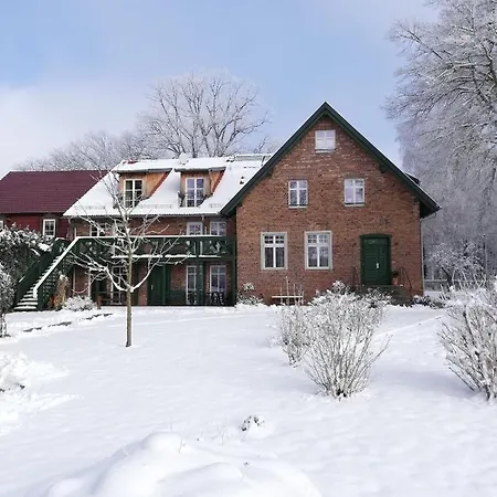 Grüner Wald Burg Kauper