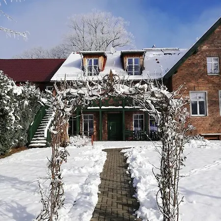 Grüner Wald * Burg (Spreewald)
