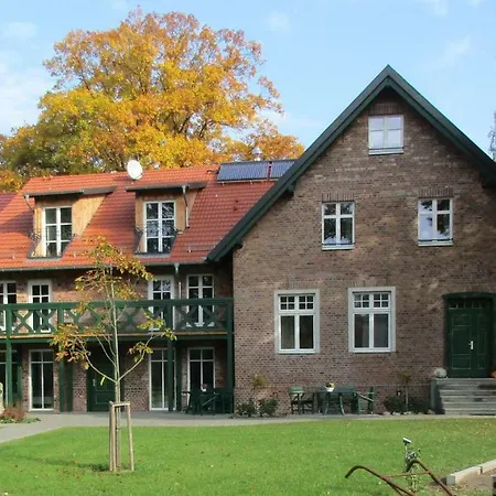 Grüner Wald *