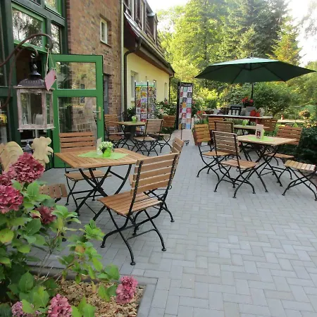 Grüner Wald Burg Kauper