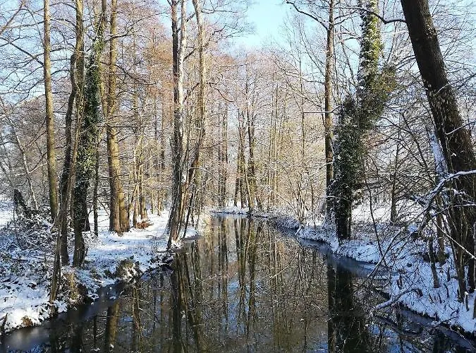 Gruener Wald Burg (Spreewald)