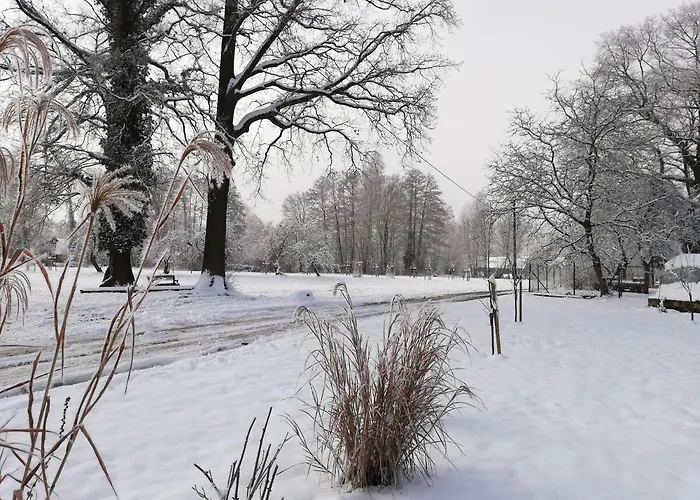 Gruener Wald Lägenhet Burg (Spreewald)